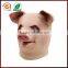 dolphin fish reasonable prices half face mask for kids