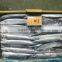 2016 new catching frozen pacific saury whole round