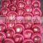 2016 Red Delicious Huaniu Apple