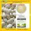 GMP factory supply White Kidney Bean Extract/Phaseolin powder