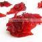 GMP Natural High Quality Water Soluble Hibiscus Extract Powder/Roselle Extract Powder