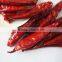 high quality chaotian chilli