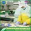 Bulk garlic paste manufacturer supplier exporter in china