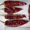 Chinese Dried Chili/chili Peppers,American Red Chili