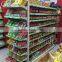 supermarket shelving system