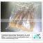 Wholesale dried squid supplier from China