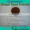 Pure Water Soluble Grape Seed Extract,ID 100% Vitis vinifera,OPCs 95% USP Grade,Low Pesticides,Aflatoxin,PAHs