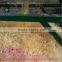 Provided Shredding Machine Wood Wool Machine For Woodworking