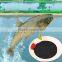 Agrolink Natural fertilizer or feed dried Seaweed Extract Powder