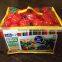 Kids Ball Pit Ball swith Mesh Storage Bag