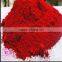 PIGMENT RED 122 with high heat resistance, good light permanency