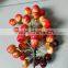 Manual Fruit Model Artificial Plastic Fruits Decoration Decorative Fruit Combination LGH15-06