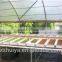 wet floral foam for agriculture soilless seedings planting
