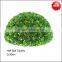 Preserved big boxwood ball topiary