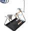 TABLETOP PARROT PLAY STAND WITH TOY HANGER AND FEEDER