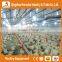 Trade Assurance Low price poultry farming equipment automatic nipple drinker system for chicken