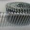 Spiral Roofing Finishing Nail from Guangzhou Supplier
