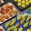39*59 cm Plastic PP Alveolar Fruit Packing Tray