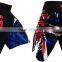 Custom MMA SHORT -custom mma short-sublimated mma shorts-mma wears-custom design mma wears-custom design mma short-custom sublim