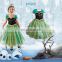 Frozen elsa anna dress cosplay costume wholesale
