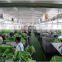 professional quality check control third party inspection agent in China