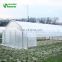Double Layer Plastic Agriculture Hoop Greenhouse Poly Tunnel