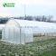 Mini Plastic Film Steel Pipe Tunnel Greenhouse