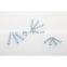 New Price Bright Zinc Color Pozi Flat Countersunk Head Wood Screws Chipboard Screws Nail