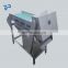Factory Direct Sales Chinese Industrial Vegetable Cutting Equipment with Best Price