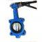 Cast iron Lug double shaft pinless Worm Gear butterfly valve