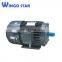 lightweight electric motor