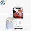 Factory Wholesale Free Logo Design Wireless Bluetooth Cheap Earbuds Price Earphone for Iphone