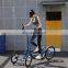 Elliptical Stepper Home Indoor Jogging Weight Loss Machine Fitness Equipment Outdoor Elliptical Bike