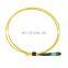 Singlemode 12 Fiber Fiber Optic MPO/MTP ruggedised pigtail