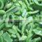 Sinocharm A Grade IQF Frozen Green Pepper Piece