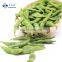 Sinocharm IQF Edamame Frozen with competitive price