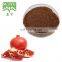 Pomegranate Peel Extract Ellagic Acid 40% 50%