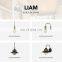 Hot sale Industrial Loft style Vintage Edison bulb Iron Black Pendant lamps