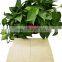 Cheap and good quality plywood