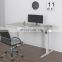 Custom Dual Motor Office Table Sit And Stand Electric Table Height Adjustable Desk