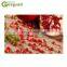 Automatic Pomegranate Peeling Machine, Hot Sale Pomegranate Press