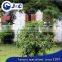 anti Bird protection netting use for vineyard, anti Bird protection net,PE anti bird netting