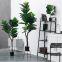 High Quality Fiddle Leaf Bonsai Plants Decorative Home Outdoor bonsai stand