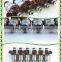 Fuel Injector/injection Nozzle 23250-65020 / 23209-65020 for Toyota 4RUNNER SR5 T100 3VZE