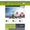 E-commerce website