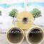 Thermal Transparent Lamination BOPP Film Roll with Eva Glue Coating