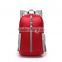 Waterproof outdoor fashion travel backpack travel bag mountain hiking folding travel backpack