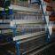 Kenya poultry farm galvanized chicken feeder