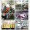 Chinese Bulk Preserved fruits/Dried Fruits Chips Price