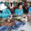 High quality Vietnam cashew nut